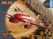 De Havilland DH88 Comet CP72019