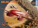 De Havilland DH88 Comet CP72019