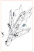 MiG19 Airbrakes (Clear Prop)  CPA72187
