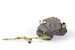 Unimog U406 DoKa Aircraft tug and towbar (Bundeswehr)  CMKA8055