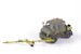 Unimog U406 DoKa Aircraft tug and towbar (Bundeswehr) CMKA8055