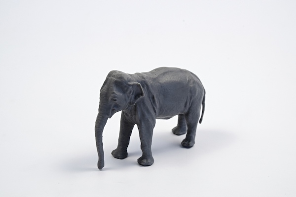 Asian Elephant  F48341