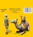 Afrika Corps Soldier prodding unwilling Camel CMK-f48392