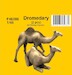 Dromedary 2x CMK-f48398