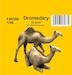 Dromedary 2x CMK-f48398