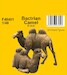 Bactrian Camel 2x CMK-f48401