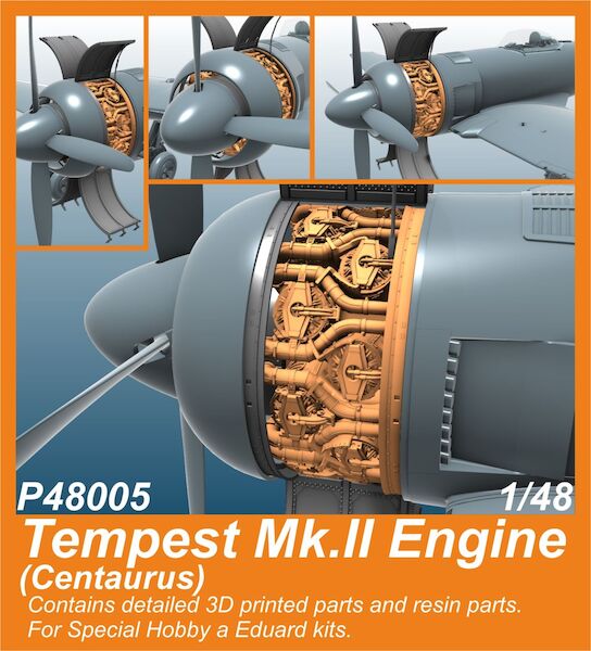 Tempest Mk.II Engine (Centaurus) 1/48 / for SH and Eduard kits  P48005