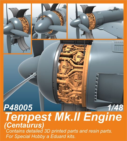 Tempest Mk.II Engine (Centaurus) 1/48 / for SH and Eduard kits P48005