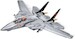 Grumman F-14 Tomcat™  cobi-5920