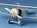 Nieuport XI - Early  CSM32013