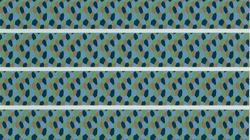 4 colour Lozenge set (Upper) D48-164