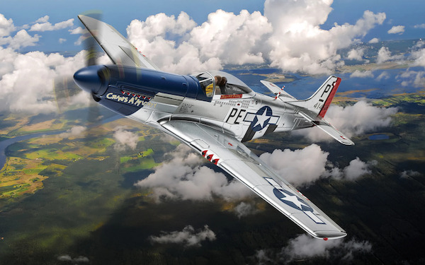 Mustang P51 USAAF 'Cripes A'Mighty' - Maj. George Preddy  A34410