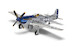 P51D Mustang USAAF 'Moonbeam McSWINE' - Capt. William T. 'Bill' Whisner Jr 
