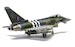 Eurofighter Typhoon FGR4 FGR4 ‘Moggy', RAF No.29 Sqn.,  2024 D-Day Anniversary Display Scheme  AA29004