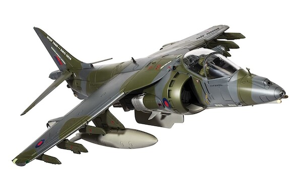Harrier GR9A 'Ninja 1' - RAF Cottesmore - Final Flight Retirement Scheme AA29302