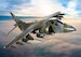 Harrier GR9A 'Ninja 1' - RAF Cottesmore - Final Flight Retirement Scheme  AA29302
