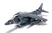 Harrier II Plus AV-8B 165001/01 - VMA-214 'Black Sheep'  AA29303