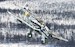 Junkers Ju87B-2 Stuka Luftwaffe 3/StG 2, 'Immelmann', Battle of Moscow, Operation Barbarossa, December 1941  AA32519