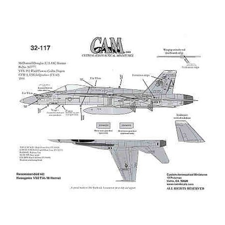 F18 Hornets Nest (VFA192 Golden Dragons CAG)  CAM32-117