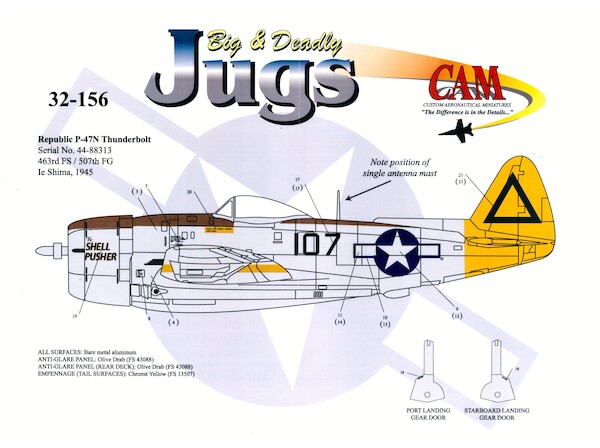 Big and Deadly Jugs P47N Thunderbolt (463FS)  CAM32-156