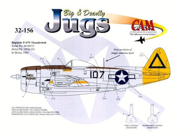 Big and Deadly Jugs P47N Thunderbolt (463FS) CAM32-156