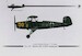 Bucker Bu131A/D Jungmann (Luftwaffe, Dutch NILF, Swiss AF and Regia Aeronautica) CMR72-210