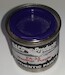 Western Pacific Boeing 737 Crested Butte Purple PA35