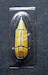 Nakajima Ki84 Hayate 'Frank" Canopy and mask (Hasegawa) Closed  CM48-021