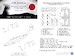 F89 Scorpion National Insignia & Markings (Revell, Hobbycraft) NM72132