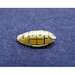 Kawanishi N1K2 J/Ja Shiden Kai "George" Canopy masks (Platz) VM144004