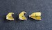 Mitsubishi F1M2/2-K "Pete" Canopy masks (Fujimi)  VM72095