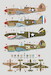 P40F Warhwk / Kittyhawk MkIIa  DK32008