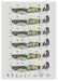 Spitfire Mk.VB No 313(Czechoslovak) and Sgt Karel Pavlik's Cartoons Part 2 (6 camo schemes) DK32015