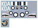 B25J Mitchell in RAAF Service (2 camouflage Scemes) DK32019