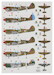 Kittyhawk MKIV in RAF, RAAF and SAAF squadrons over Italy 1944-1945 (6 camouflage Schemes) DK32021