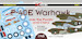Curtiss P40e Warhawk over the Pacific and China (11 camo schemes) DK48022