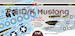 P51D/K Mustang (14th AF and CACW) (8 camo schemes) DK48026