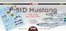 P51D Mustang (Very Long range P51 Units Iwo Jima 1945 (9 Schemes) DK48029