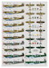 Spitfire Mk.VIII in RAF, RAAF, SAAF service (12 camo schemes) DK48041