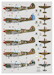 Kittyhawk MKIV in RAF, RAAF and SAAF squadrons over Italy 1944-1945 (6 camouflage Schemes) DK48042