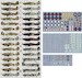 No1sq in WW2 , Hurricanes, Typhoons and Spitfires (30 camo schemes) DK72059