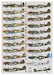 No450sq RAAF Hurricane, Kittyhawks, Mustangs and Auster  DK72080