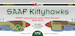SAAF Kittyhawks, SAAF Squadrons over the western Desert 1942-1943  DK72082