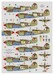 SAAF Kittyhawks, SAAF Squadrons over the western Desert 1942-1943  DK72082