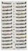 SEAC Spitfires,  Spitfires over Burma and India (28 schemes)  DK72083
