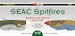 SEAC Spitfires, Spitfires over Burma and India (28 schemes) DK72083