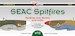 SEAC Spitfires,  Spitfires over Burma and India (28 schemes) DK72083