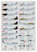 23rd Fighter Group Part 2  (P51D/K  and F6K 1944-1945)  DK72084