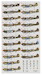 DAF Kittyhawks, RAF, RAAF and SAAF Squadrons over Italy  1943-1945 (20 camo schemes)  DK72097