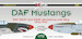 DAF Mustangs RAF, RAAF and SAAF Squadrons over Italy 1944-1945 (17 camo schemes) DK72099